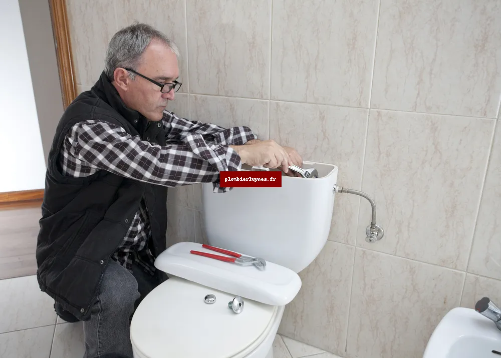 Plombier Luynes (37230)