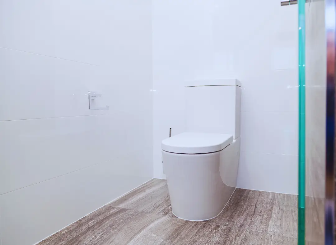 Remplacement de wc Luynes