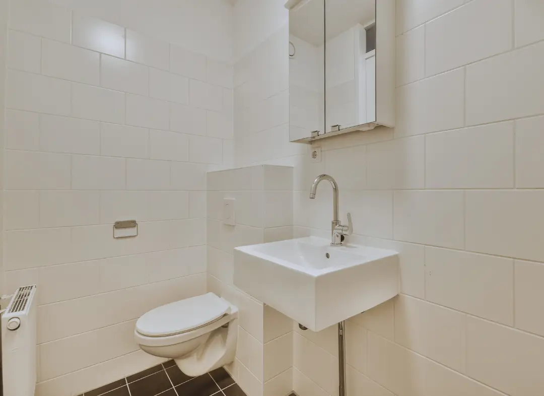 Pose WC Suspendu Luynes